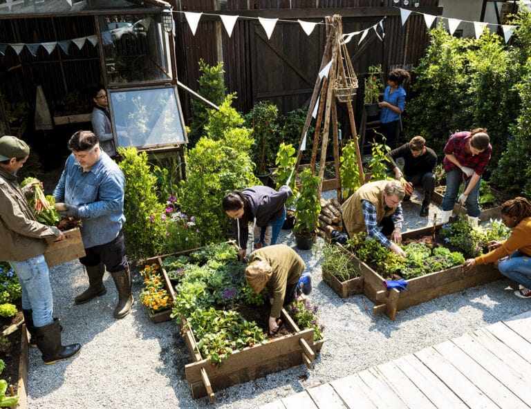NHSPS Refresh Social Prescribing Map | FM Business Daily News